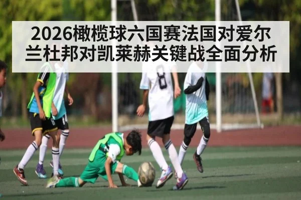 2026橄榄球六国赛法国对爱尔兰杜邦对凯莱赫关键战全面分析